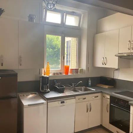 Au Coeur D'annecy Apartment