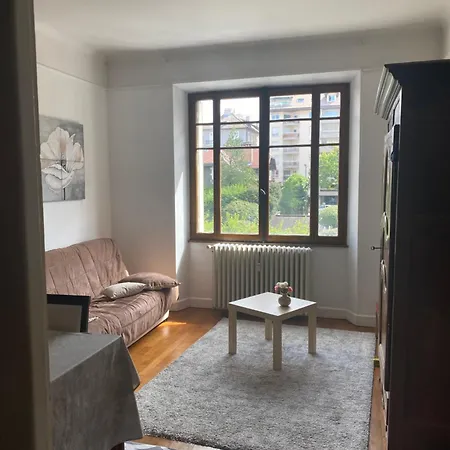 Au Coeur D'annecy Apartment *